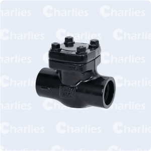 FORGE STEEL LIFT CHECK VALVE API602 CLASS 800