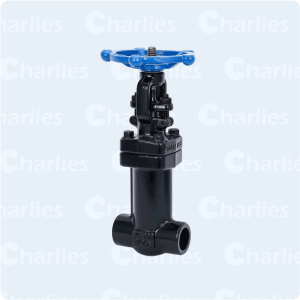 FORGE STEEL GLOBE VALVE BELLOW SEAL