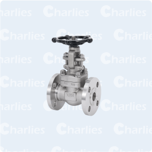 CAST STEEL GATE VALVE JIS STD FLANGES