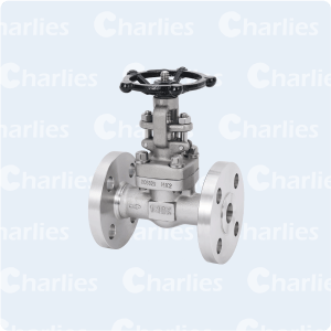 CAST STEEL GLOBE VALVE JIS STD FLANGES