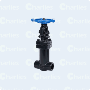 FORGE STEEL GATE VALVE BELLOW SEAL