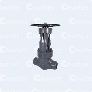 PRESSURE SEAL BONNET GATE VALVE CLASS 2500