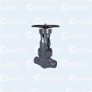 PRESSURE SEAL BONNET GATE VALVE CLASS 900