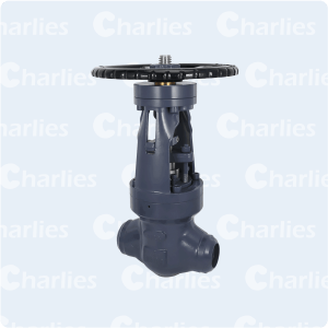 PRESSURE SEAL BONNET GLOBE VALVE CLASS 2500