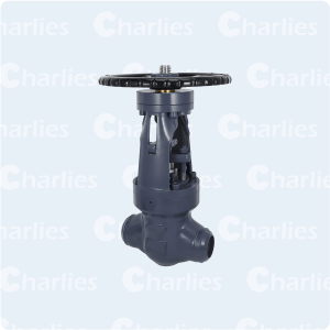 PRESSURE SEAL BONNET GLOBE VALVE CLASS 900