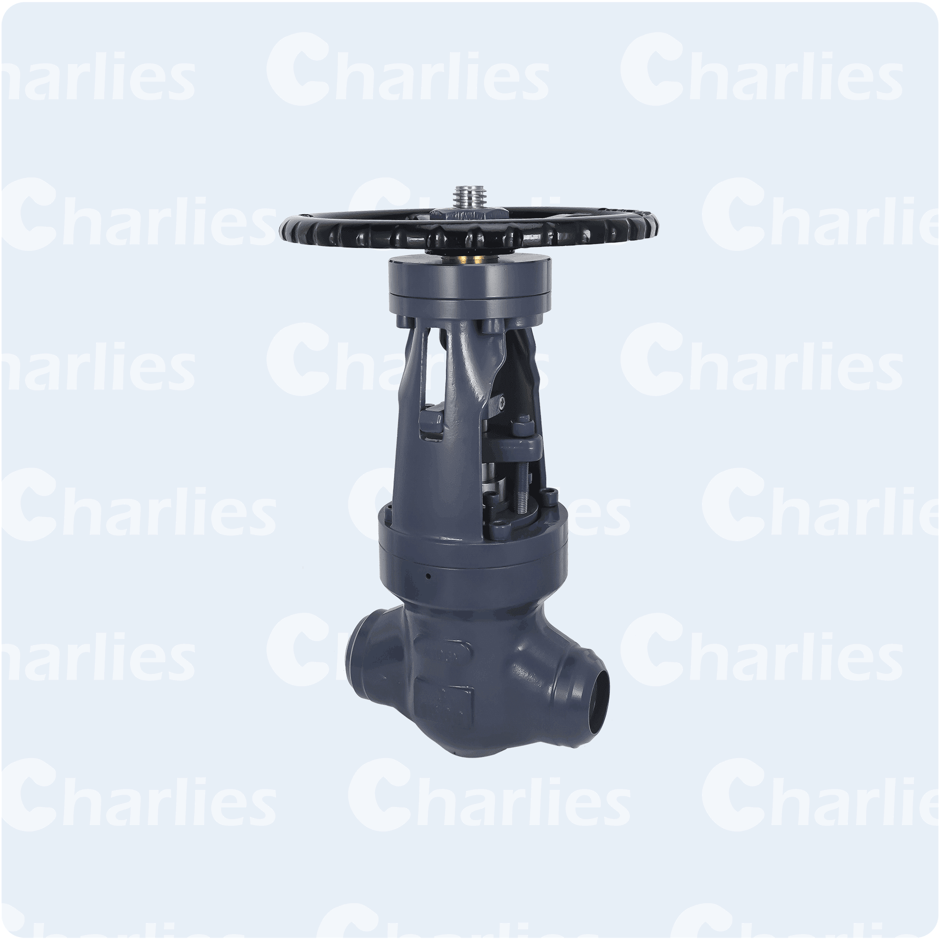 Cast-PSB-Globe-Valve-Class-900