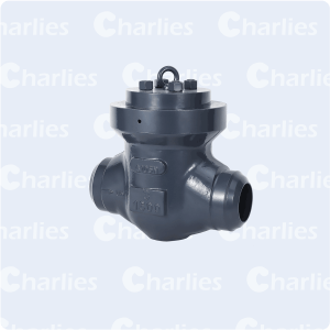 PRESSURE SEAL BONNET CHECK VALVE CLASS 2500