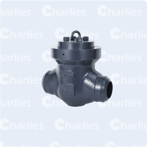 PRESSURE SEAL BONNET CHECK VALVE CLASS 900