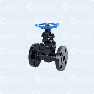 CAST STEEL GATE VALVE API600 CLASS 300