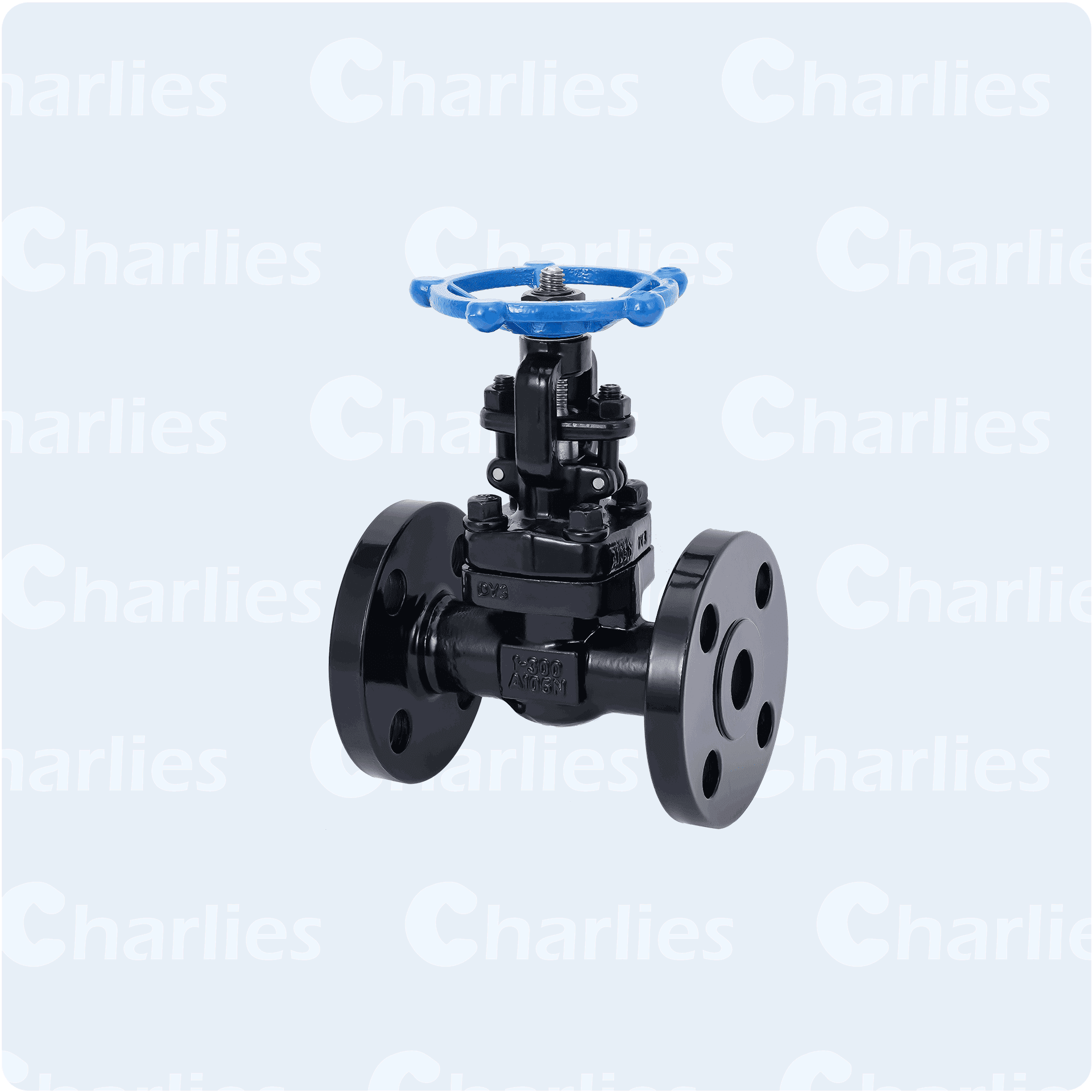 Catalog-Gate-valve-300