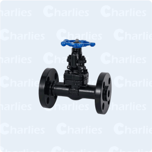 CAST STEEL GATE VALVE API600 CLASS 600