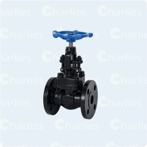 CAST STEEL GLOBE VALVE API600 CLASS 150