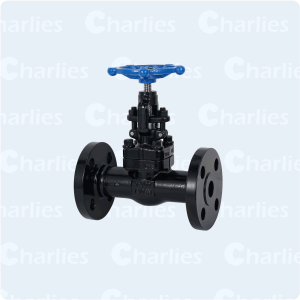 CAST STEEL GLOBE VALVE API600 CLASS 900