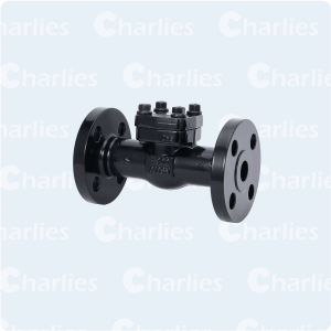 CAST STEEL SWING CHECK VALVE API600 CLASS 300