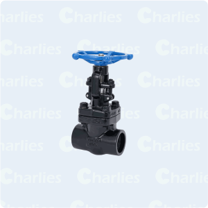 FORGE STEEL GATE VALVE API602 CLASS 800