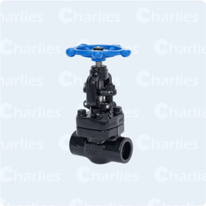 FORGE STEEL GLOBE VALVE API602 CLASS 800